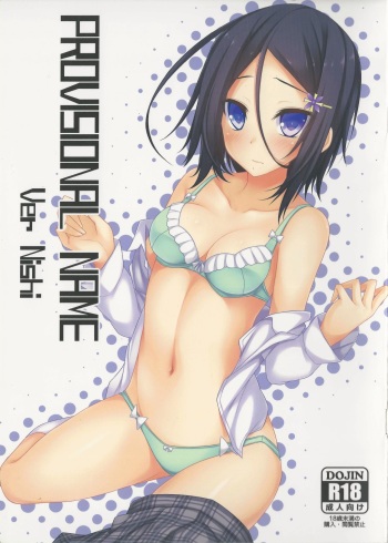 PROVISIONAL NAME Ver Nishi cover