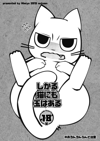 Shikaruneko ni mo Tama wa Aru cover