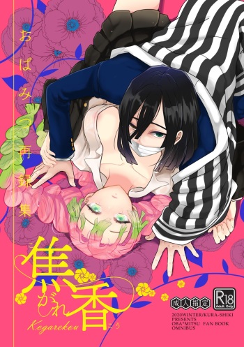 ObaMitsu Sairokushuu Kogarekou cover