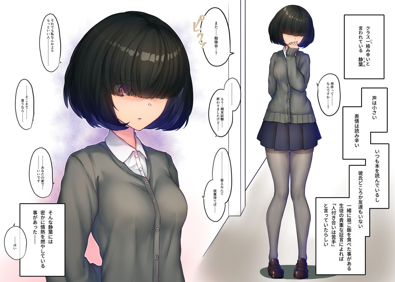 SK-H ZIP page 1 full
